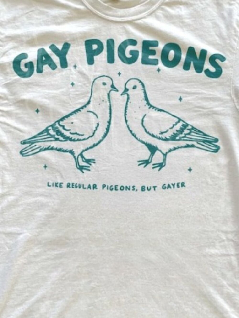 Gay Pigeons T-shirt, Funny LGBTQ Pride Tee, Queer Graphic Tee - Picture 2 of 3